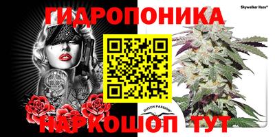 наркотики Абакан
