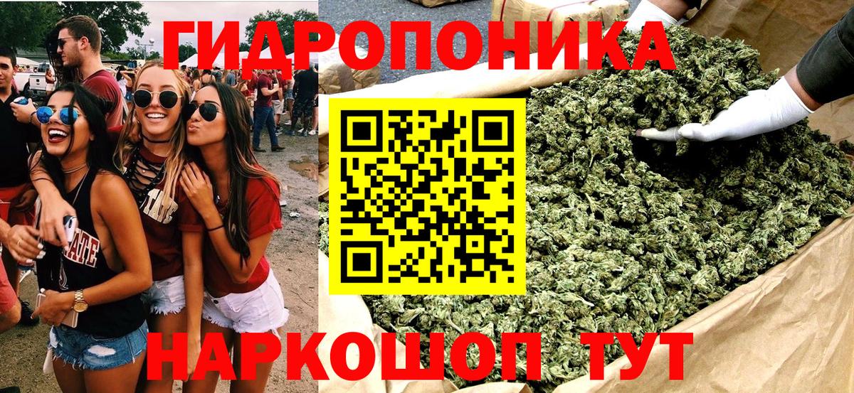 ГАШ  КОКАИН  ЭКСТАЗИ  Алейск  Вход с VPN  ГАШ  Бошки Шишки  Меф МЯУ МЯУ кристаллы 